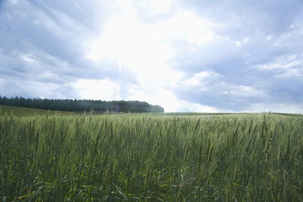 農(nóng)業(yè)與氣象環(huán)境的關(guān)系，農(nóng)業(yè)氣象監(jiān)測利器“氣象站”設(shè)備介紹