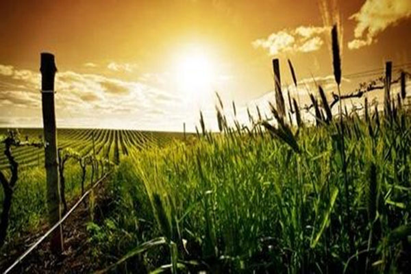 手持氣象監(jiān)測站技術(shù)參數(shù)及功能特點介紹