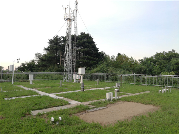 zadull氣象站怎么樣？