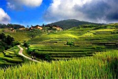 農(nóng)業(yè)氣象站在農(nóng)業(yè)園區(qū)的應(yīng)用