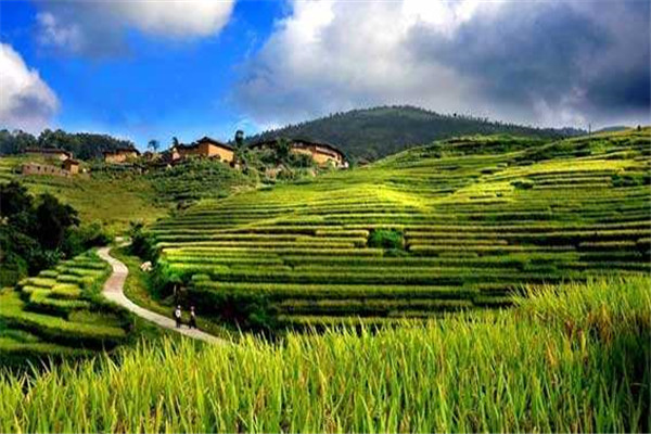 農(nóng)業(yè)氣象站 農(nóng)業(yè)氣象站