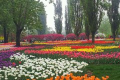 學(xué)校氣象觀測站能監(jiān)測什么