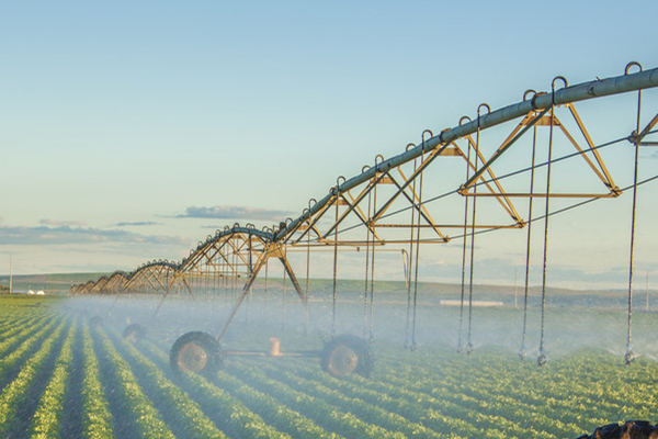 手持氣象站 手持氣象站