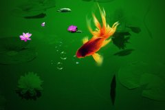 旋槳式流速儀的優(yōu)點是什么