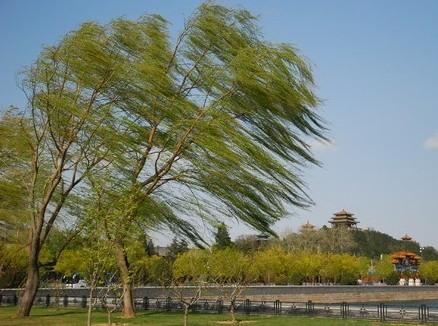 微型氣象站之風(fēng)速風(fēng)向記錄儀 微型氣象站之風(fēng)速風(fēng)向記錄儀