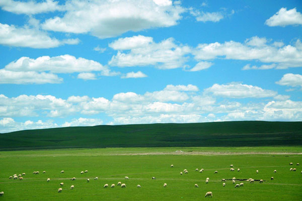 光伏太陽能環(huán)境監(jiān)測(cè)系統(tǒng)