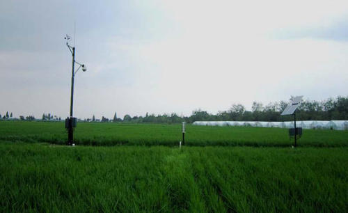 農(nóng)業(yè)小氣候觀測設(shè)備在農(nóng)業(yè)方面發(fā)揮重要作用 農(nóng)業(yè)小氣候觀測設(shè)備在農(nóng)業(yè)方面發(fā)揮重要作用