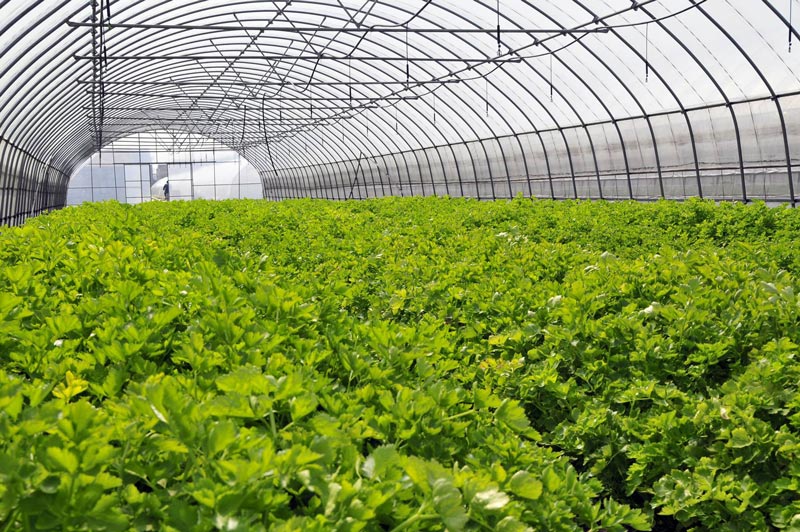 氣象五參數(shù)監(jiān)測(cè)儀 氣象五參數(shù)監(jiān)測(cè)儀