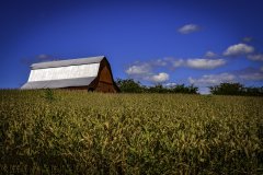 氣象站指的是什么？