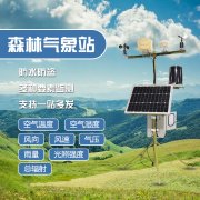 預(yù)防森林火災(zāi)，保護(hù)森林生態(tài)系統(tǒng)