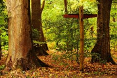 負(fù)氧離子對人體的益處